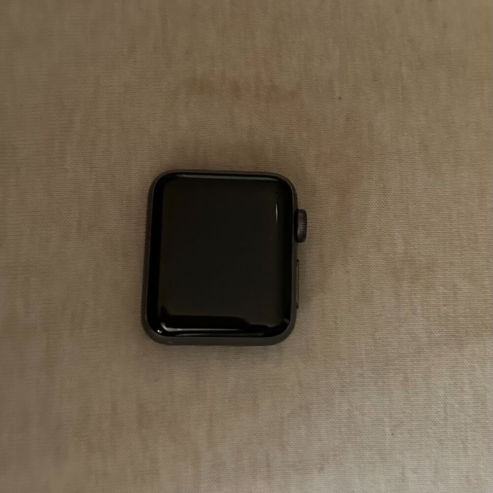 Apple Watch Series 3 (GPS + Cellular)